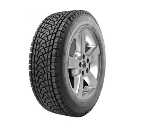 Protektor 225/60R17 99H ICE SPECIAL (M+S) VRANIK